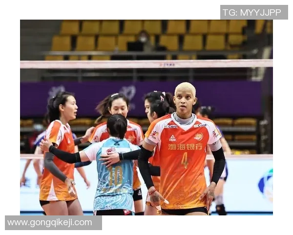 武汉排球队技术表现分析与联赛表现的深度解读